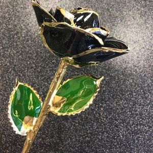 Black Diamond 24kt Gold Dipped Rose